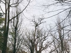 -西湖风景区十里琅珰-五云山