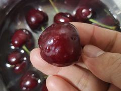 -双福水果批发市场