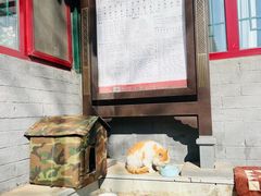 -护国法轮寺