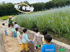 -惠洛克国际儿童之家(绿博园中心)