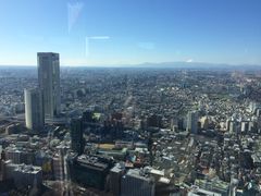 -东京都厅舍
