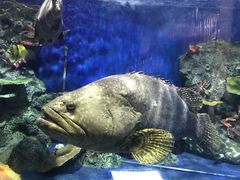 -泉州海丝野生动物世界