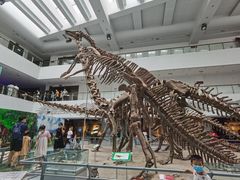 -中国地质大学逸夫博物馆
