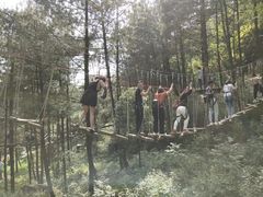 -梦幻奥陶纪景区