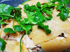 -九斤黄三黄鸡专卖店