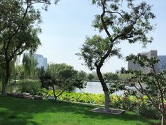 -西海子公园