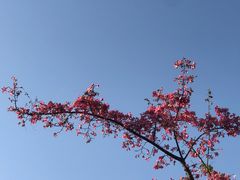 -晓港公园