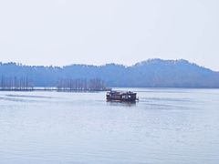 -东湖落雁景区
