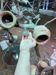 -Zoolung Zoolung动物主题公园(海信广场店)