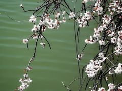 -苏州上方山国家森林公园
