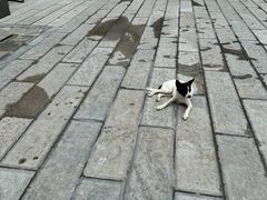 -永乐宫