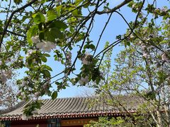 -齐白石旧居纪念馆