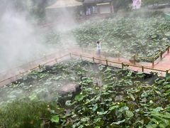 -广州莲花山旅游区