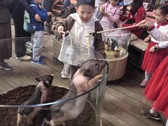 -正佳雨林生态植物园