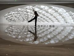 -凤凰中心