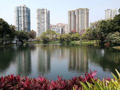 -晓港公园