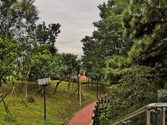 -铁山坪森林公园