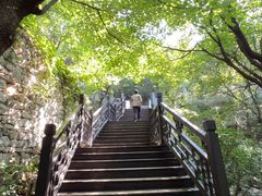 -佛慧山