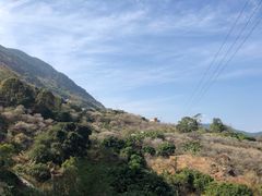-广州市流溪河国家森林公园