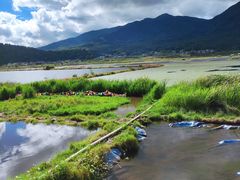 -腾冲北海湿地
