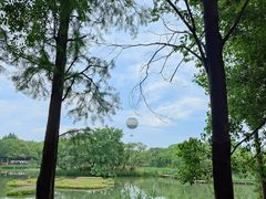 -西溪国家湿地公园