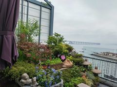 -川旺角川粤融合菜•海景餐厅(星海广场店)
