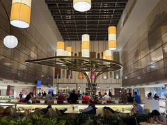 -英迪拉·甘地国际机场