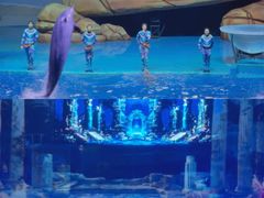 -海合安武汉极地海洋公园