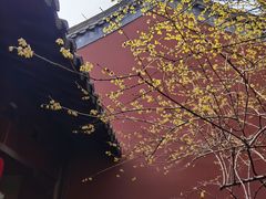 -钱王祠