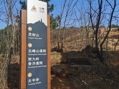 -灵岩山风景区