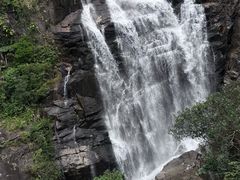 -海南热带雨林国家公园吊罗山景区