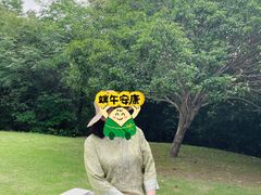 -敬亭山风景名胜区