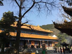 -普陀山风景名胜区-法雨禅寺