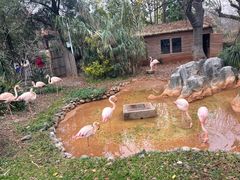 -昆明动物园