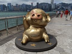 -星光大道