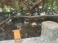 -泉眼温泉