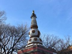 -颐和园