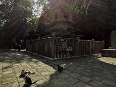 -四门塔风景区