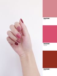 -Seven Nail七姑娘の美甲店