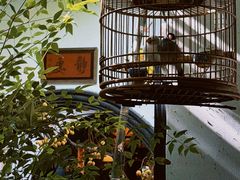 -31号公馆(黄兴广场白果园店)