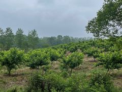 -世纪联华(安徽六安店)