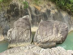 -广州白江湖森林公园