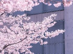 -龙美术馆(西岸馆)