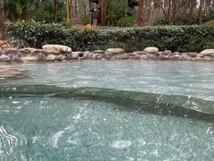 -洪湖悦兮半岛国际温泉度假村