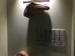 -世界恐龙谷景区