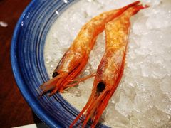-黑松白鹿(新活馆店)