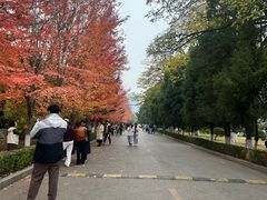 -辽宁大学(崇山校区)