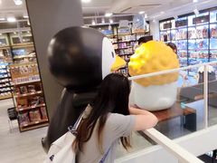 -line friends(明洞旗舰店)