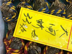 -有腥气私房菜·寻味顺德