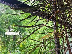 -腾爱熊猫咖啡生活馆(老东门店)